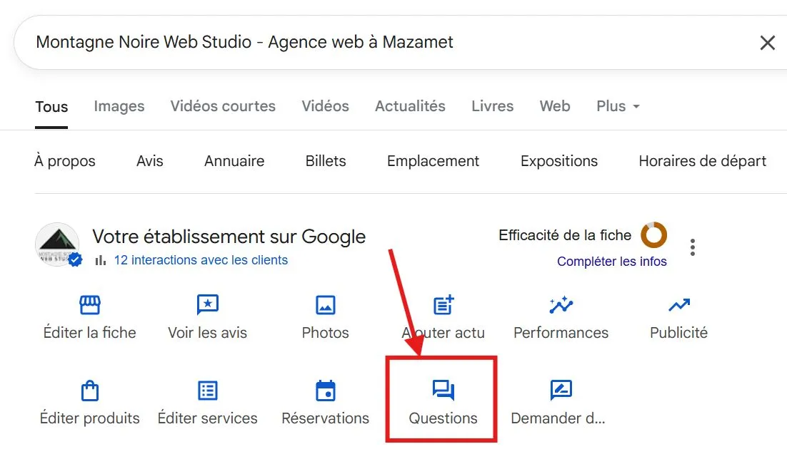 The Montagne Noire Web Studio business profile dashboard with the "Questions" button circled in red